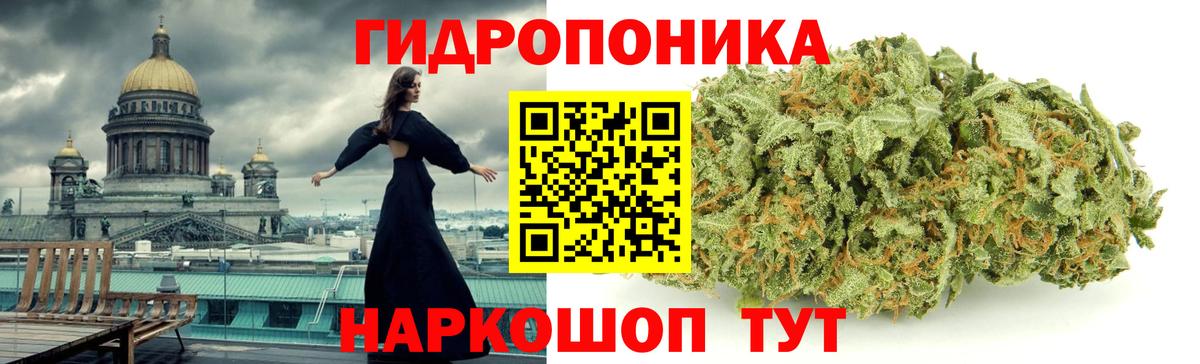 МАРИХУАНА сатива Дмитров