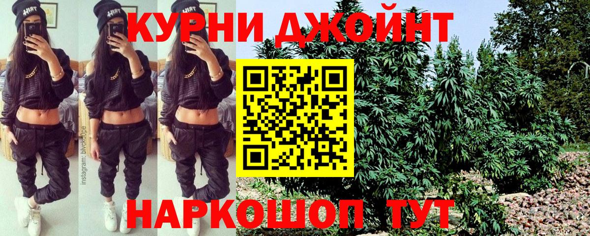 Бошки марихуана конопля  Вход с VPN  Марихуана гибрид  Канабис Ganja  Дмитров 